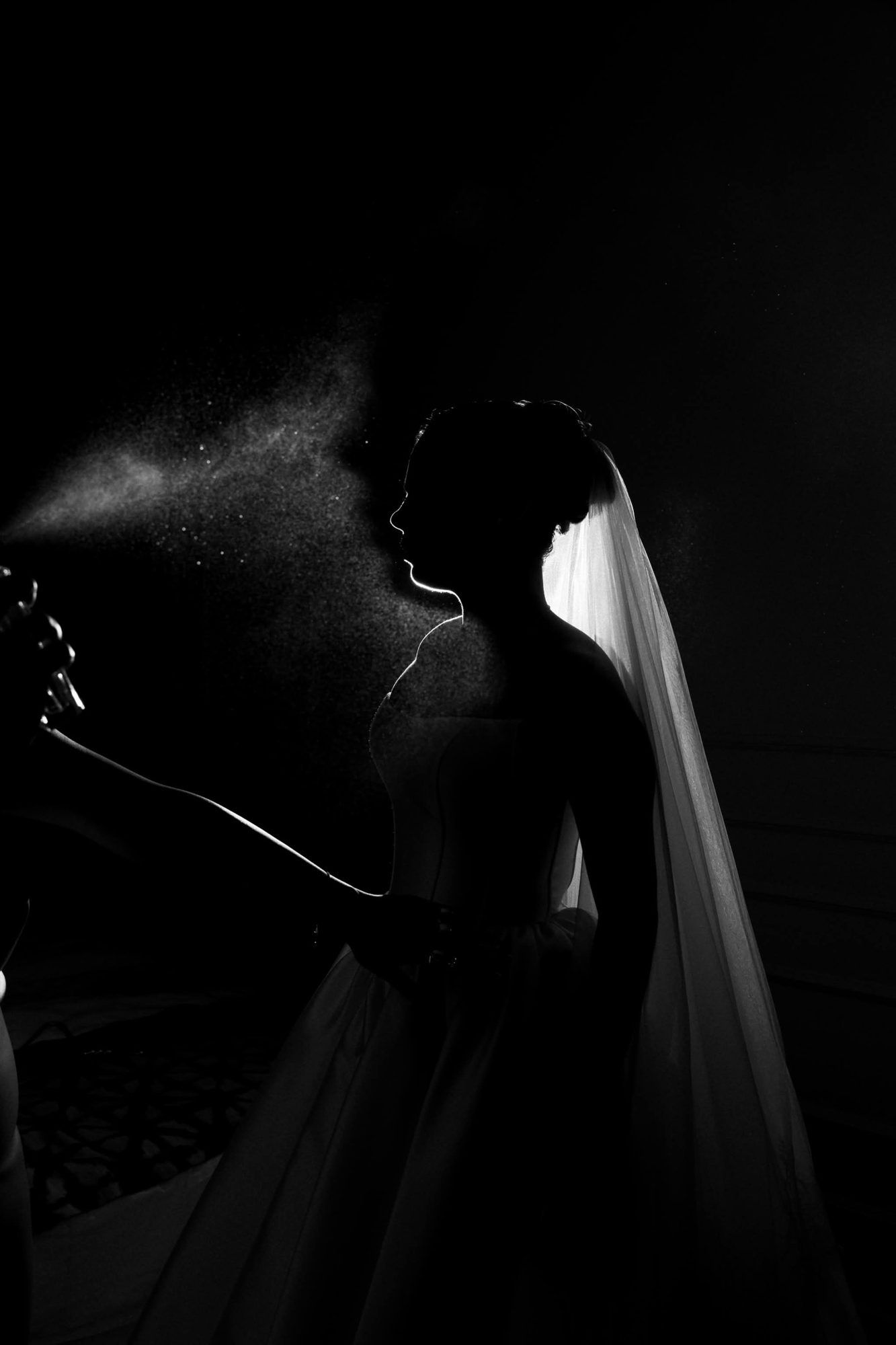 Backlit silhouette of a bride in her veil against a dark background